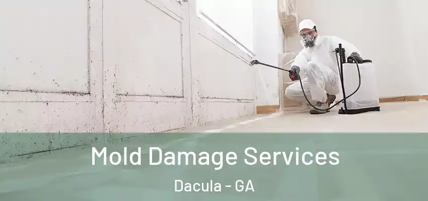 Mold Damage Services Dacula - GA
