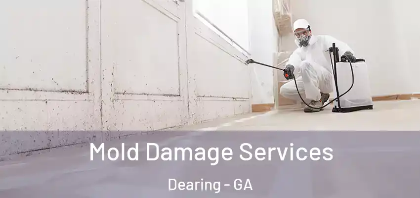 Mold Damage Services Dearing - GA