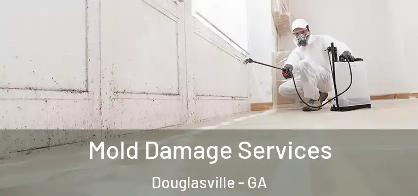 Mold Damage Services Douglasville - GA