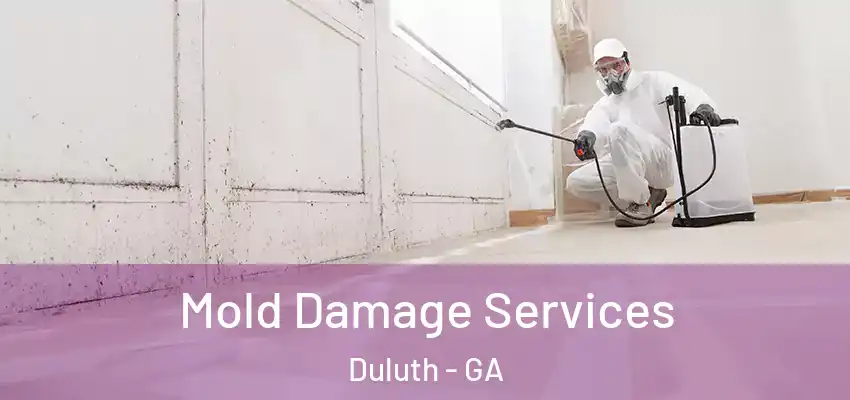 Mold Damage Services Duluth - GA