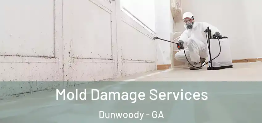 Mold Damage Services Dunwoody - GA