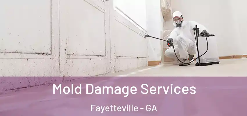 Mold Damage Services Fayetteville - GA