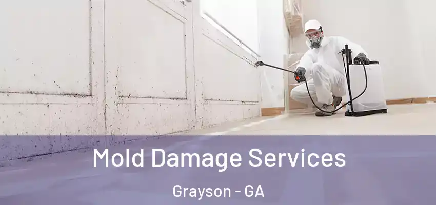 Mold Damage Services Grayson - GA
