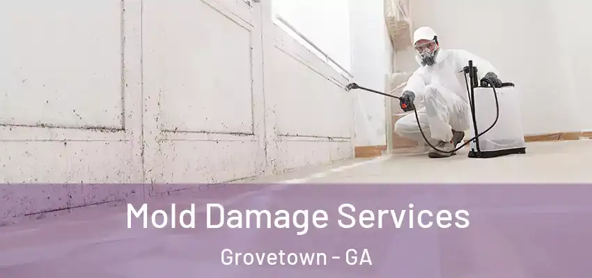 Mold Damage Services Grovetown - GA