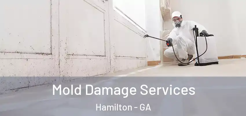 Mold Damage Services Hamilton - GA