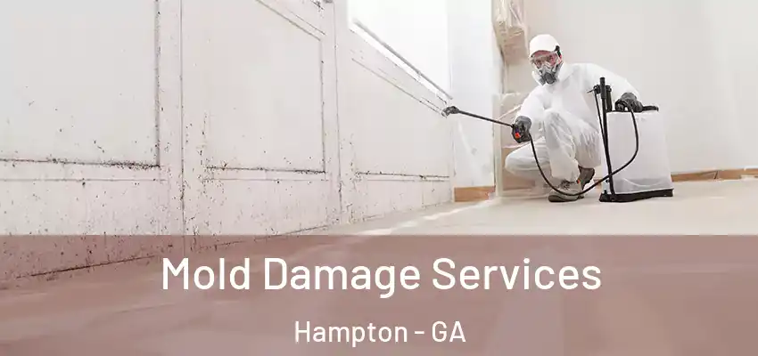 Mold Damage Services Hampton - GA
