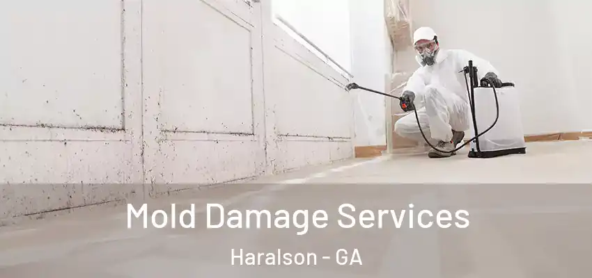 Mold Damage Services Haralson - GA