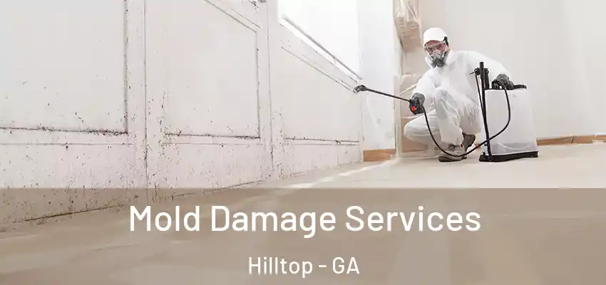 Mold Damage Services Hilltop - GA