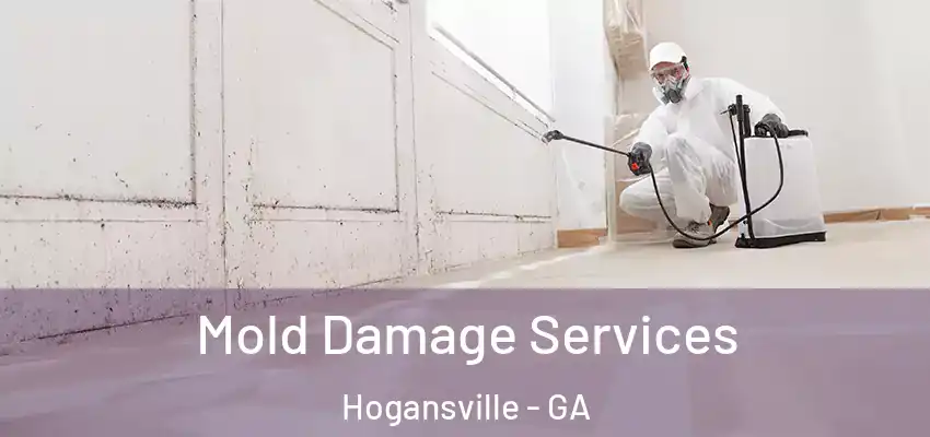 Mold Damage Services Hogansville - GA
