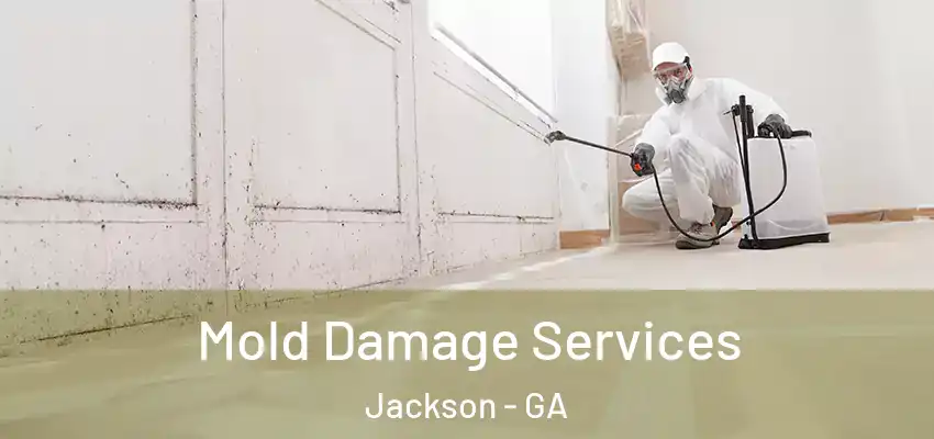 Mold Damage Services Jackson - GA