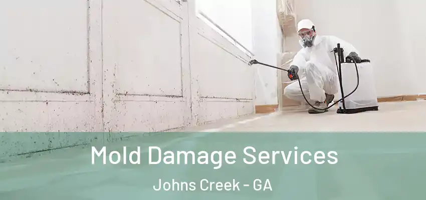 Mold Damage Services Johns Creek - GA