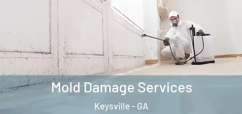 Mold Damage Services Keysville - GA