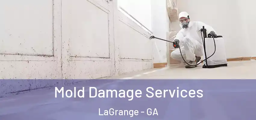 Mold Damage Services LaGrange - GA