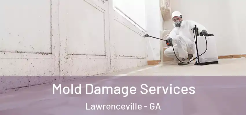 Mold Damage Services Lawrenceville - GA