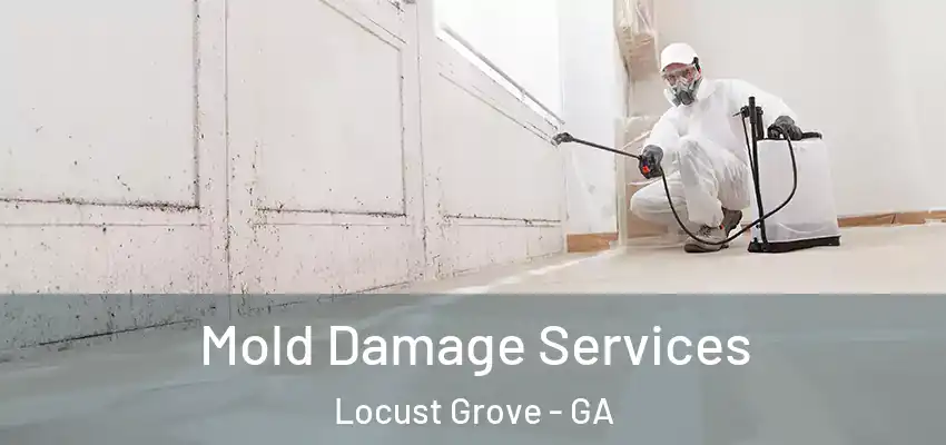  Mold Damage Services Locust Grove - GA