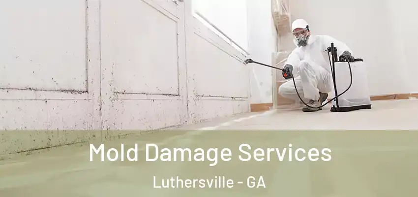 Mold Damage Services Luthersville - GA