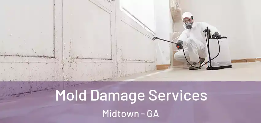 Mold Damage Services Midtown - GA