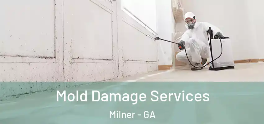 Mold Damage Services Milner - GA
