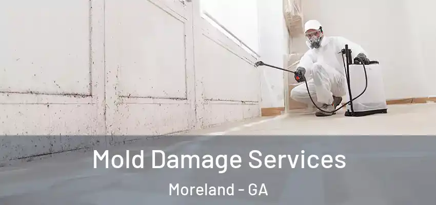  Mold Damage Services Moreland - GA