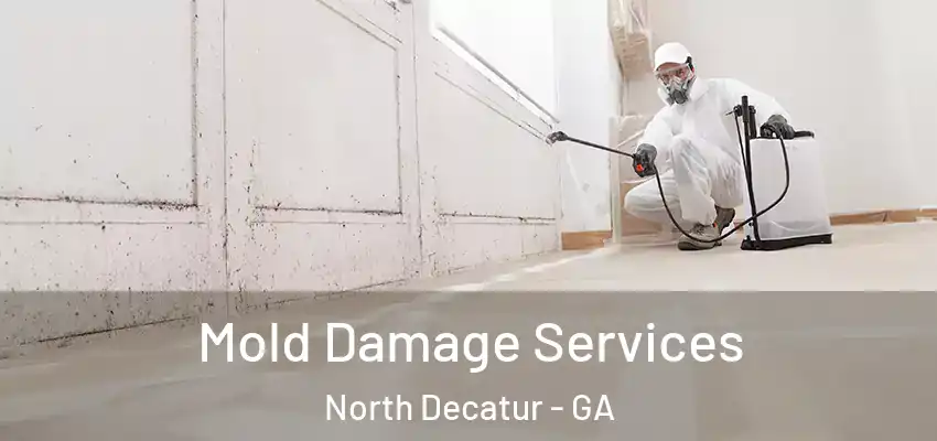 Mold Damage Services North Decatur - GA