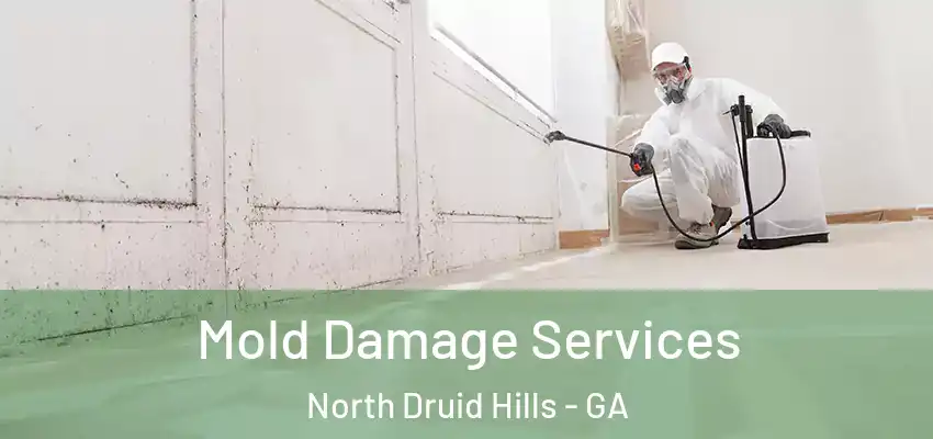 Mold Damage Services North Druid Hills - GA