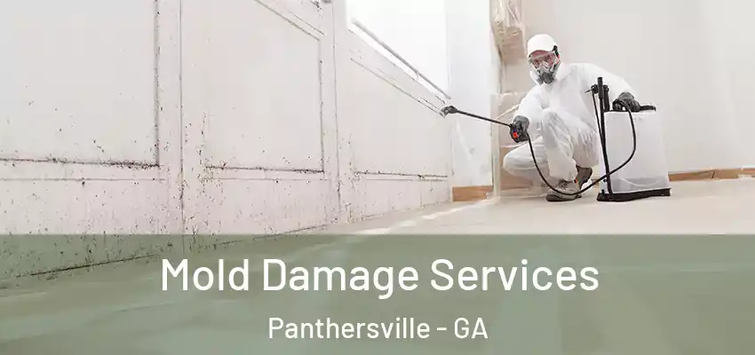 Mold Damage Services Panthersville - GA