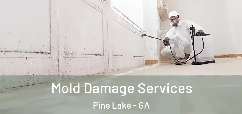 Mold Damage Services Pine Lake - GA