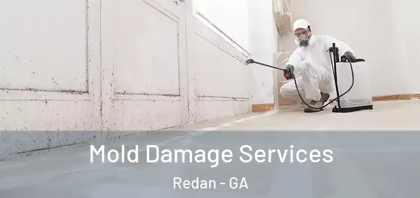Mold Damage Services Redan - GA