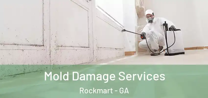 Mold Damage Services Rockmart - GA