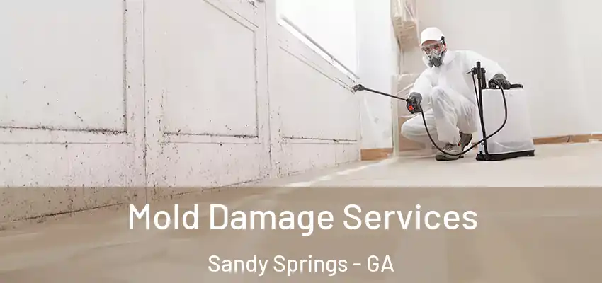  Mold Damage Services Sandy Springs - GA