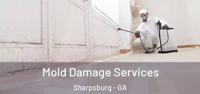 Mold Damage Services Sharpsburg - GA