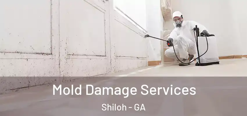 Mold Damage Services Shiloh - GA