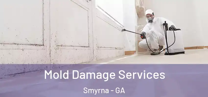 Mold Damage Services Smyrna - GA