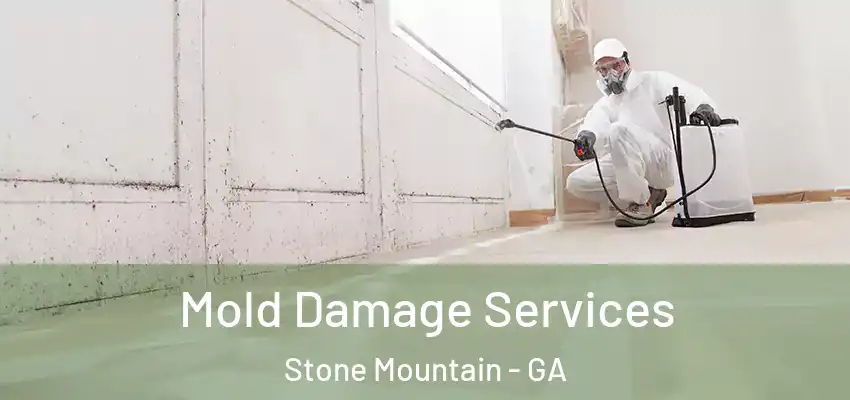 Mold Damage Services Stone Mountain - GA