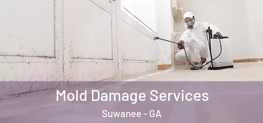 Mold Damage Services Suwanee - GA