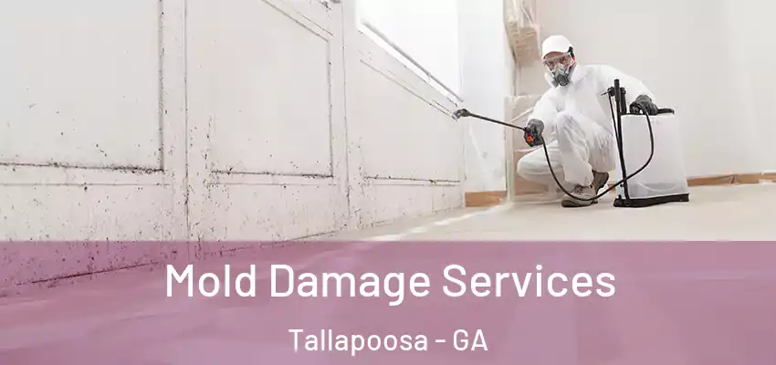 Mold Damage Services Tallapoosa - GA