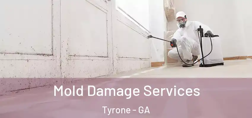 Mold Damage Services Tyrone - GA