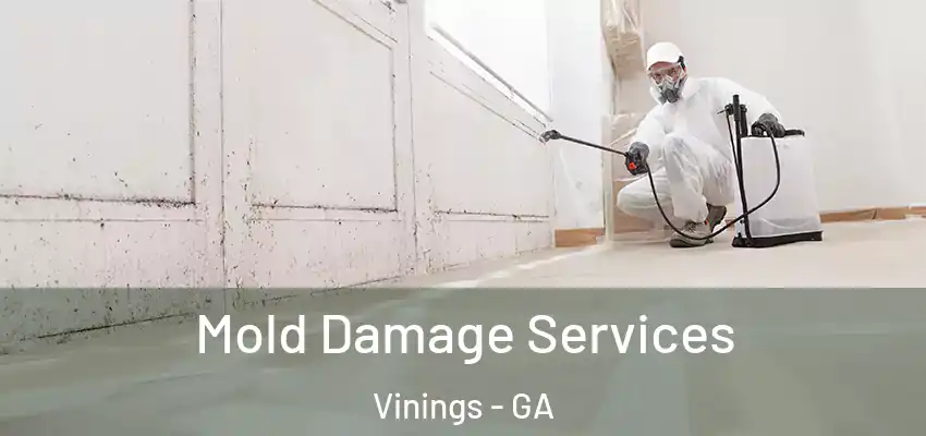 Mold Damage Services Vinings - GA