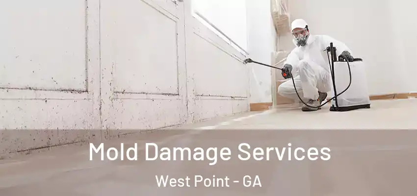Mold Damage Services West Point - GA