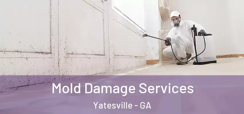 Mold Damage Services Yatesville - GA