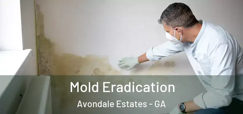 Mold Eradication Avondale Estates - GA