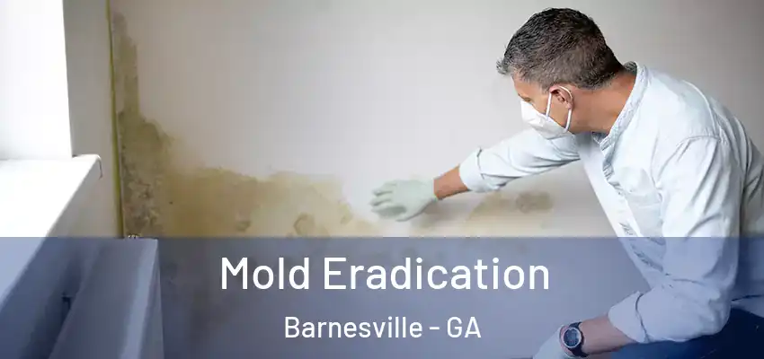 Mold Eradication Barnesville - GA