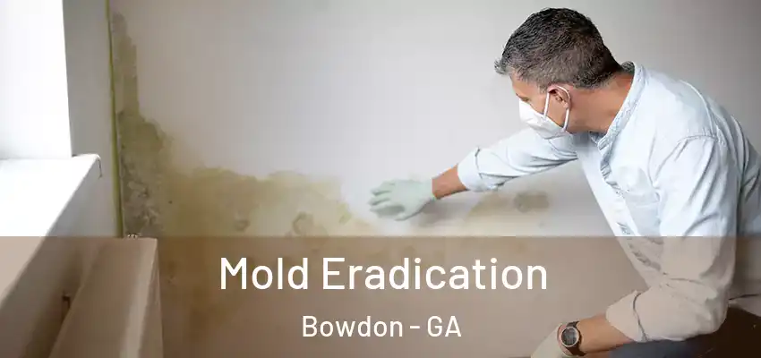 Mold Eradication Bowdon - GA