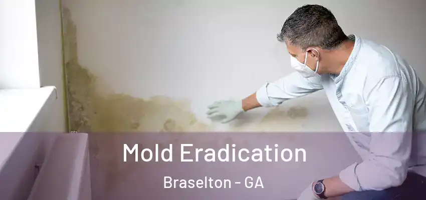 Mold Eradication Braselton - GA