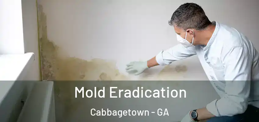 Mold Eradication Cabbagetown - GA