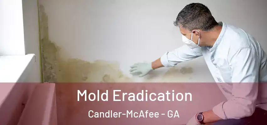 Mold Eradication Candler-McAfee - GA