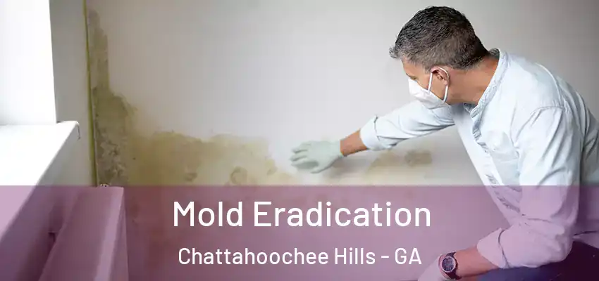  Mold Eradication Chattahoochee Hills - GA