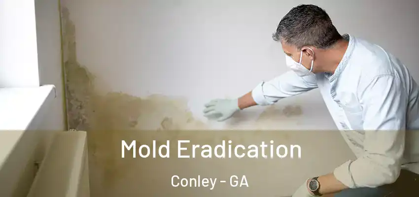 Mold Eradication Conley - GA