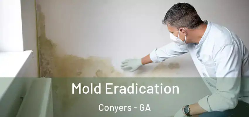 Mold Eradication Conyers - GA