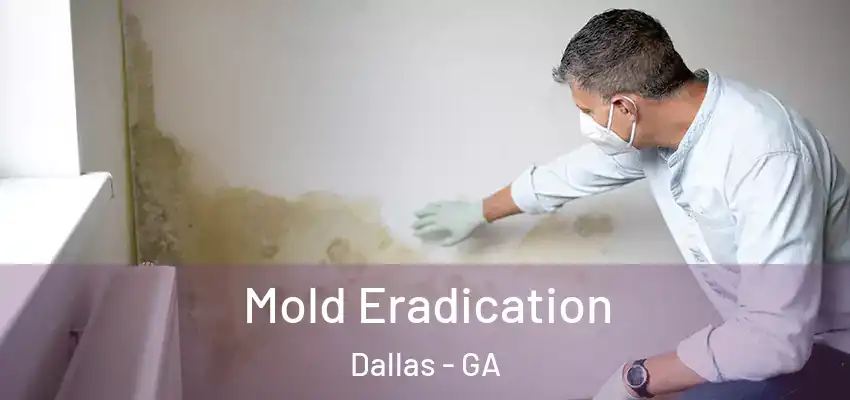 Mold Eradication Dallas - GA